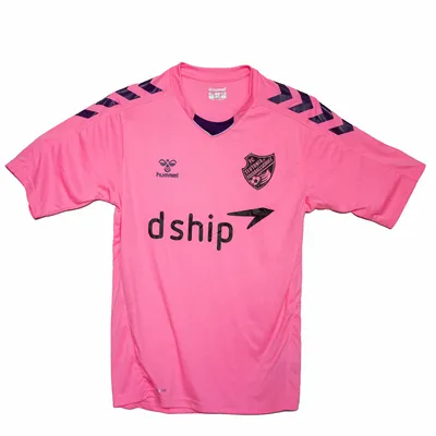 ACADEMY 2025 JERSEY – PINK (ADULT)